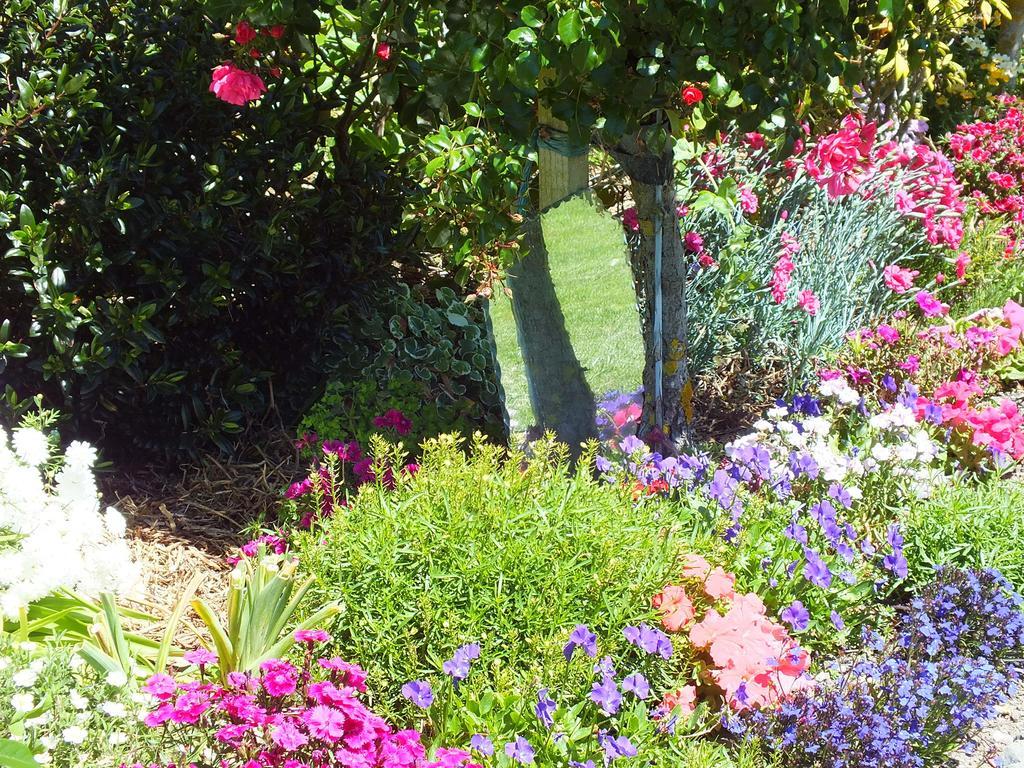Bed and Breakfast Austin Heights - Kaikoura Exterior foto
