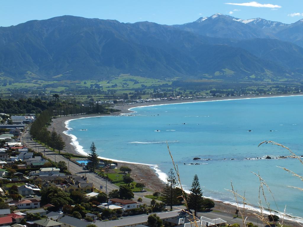 Bed and Breakfast Austin Heights - Kaikoura Exterior foto